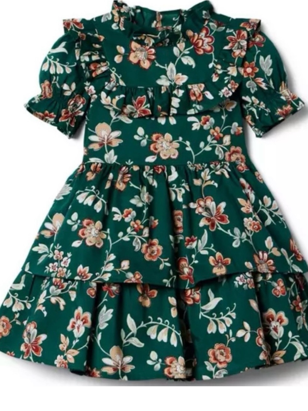 Janie and Jack Baby Girl Floral Dress 6 to 12 Months